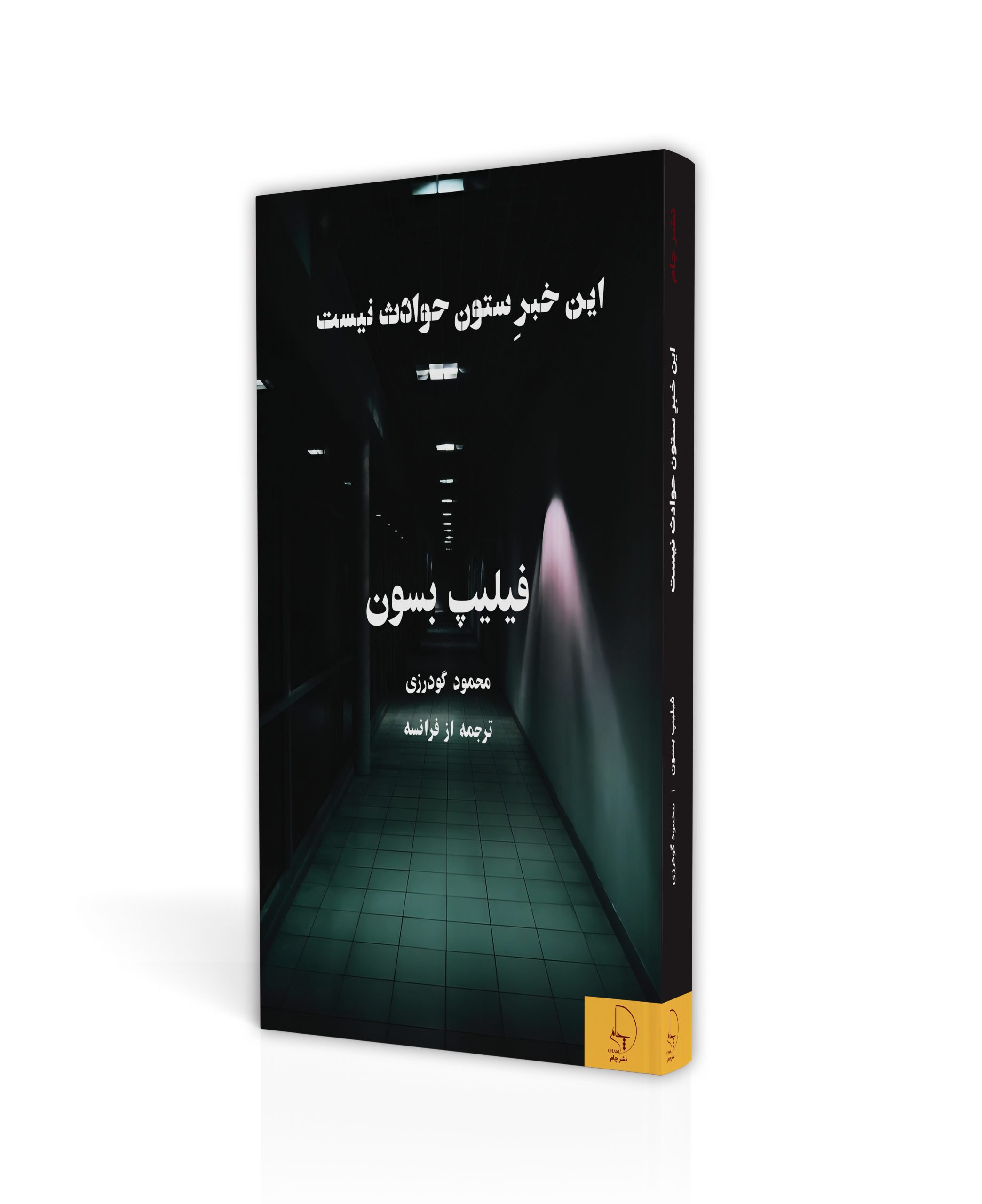 این خبرِ ستون حوادث نیست. رمان فرانسوی