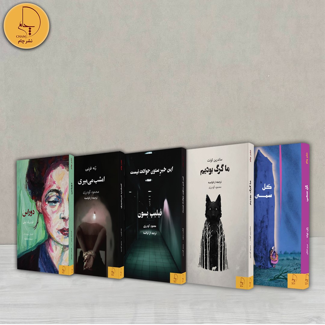 رمان‌های ادبیات فرانسه